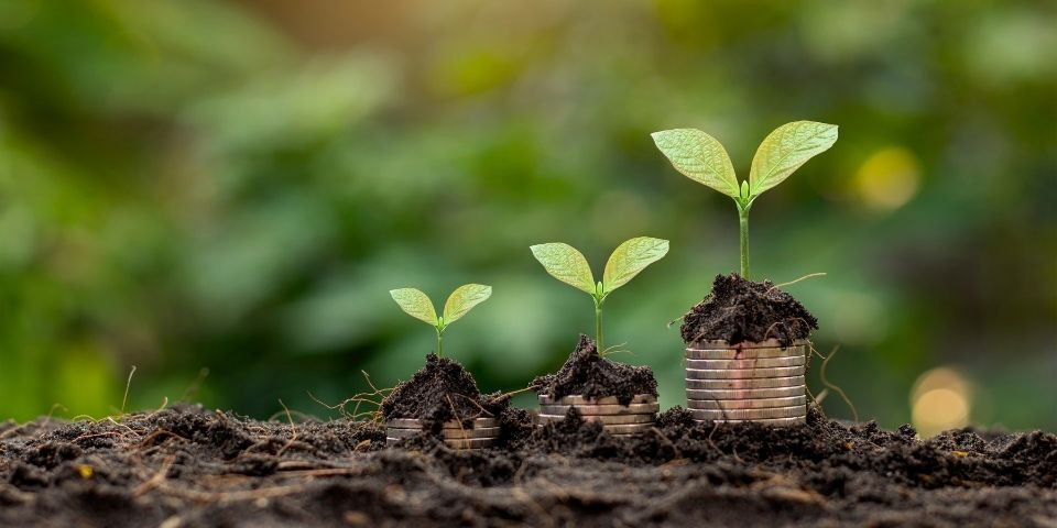 Todo-Sobre-Planes-de-Financiamiento-Para-Empresas.jpg